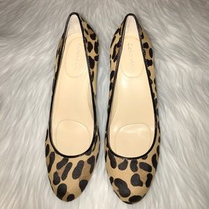 Calvin Klein Women Leopard Pumps
