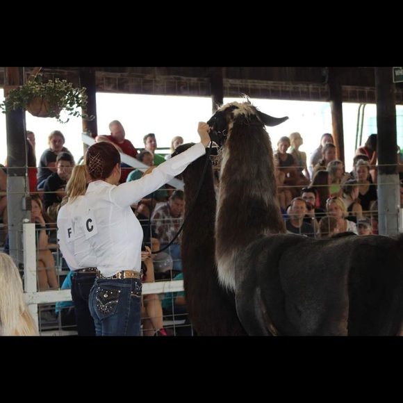 Meet your Posher, Tayia - Picture 2 of 5