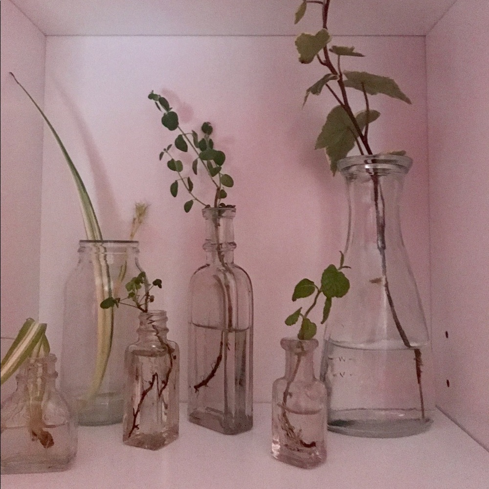 Meet your Posher, Juniper