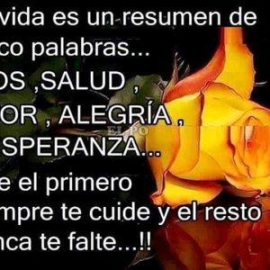 Meet your Posher, Ivon