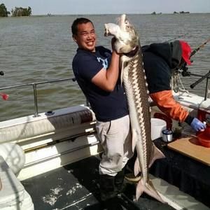 Meet your Posher, Alvin