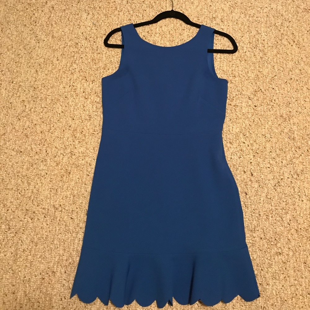 JCrew Factory Dress