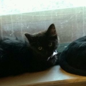 Meet your Posher, Tracy