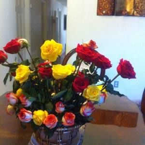 Meet your Posher, Blanca