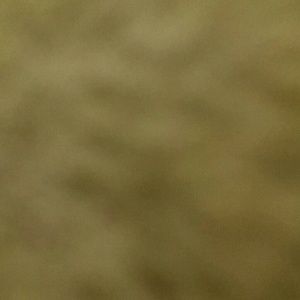 Meet your Posher, Emely