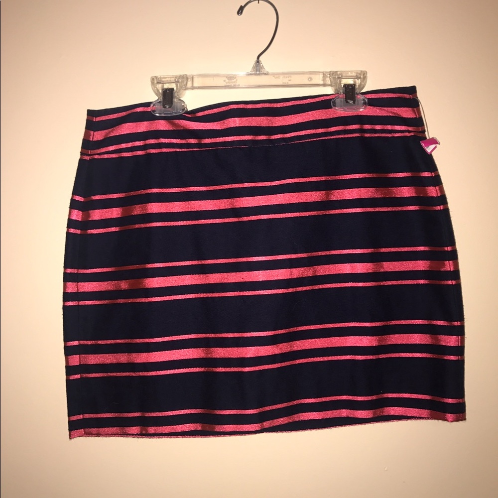 J Crew Skirt