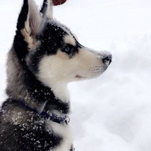 Meet your Posher, Jade