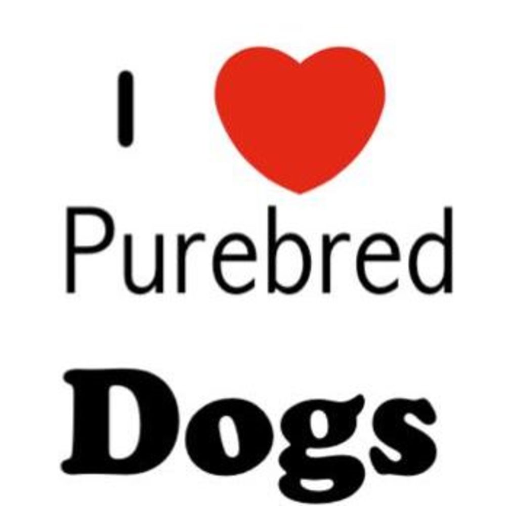 Meet your Posher, Anne