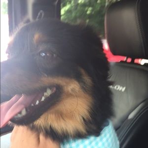 Meet your Posher, Corey