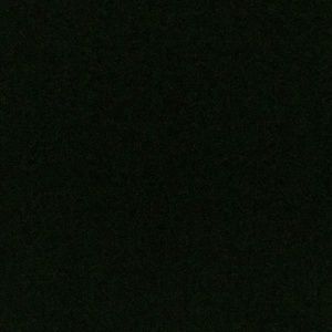 Meet your Posher, Shane