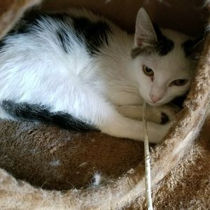 Meet your Posher, Bryan