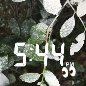 Meet your Posher, Steven