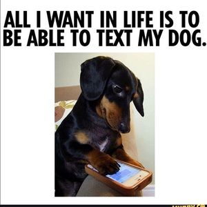 Meet your Posher, Alec