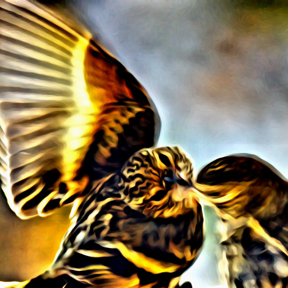 Meet your Posher, Laurie