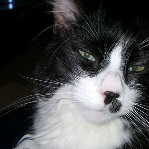 Meet your Posher, Victoria