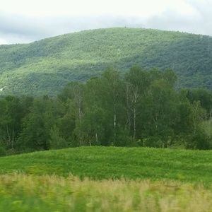 Meet your Posher, Leah