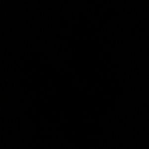 Meet your Posher, Malik