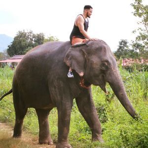 Meet your Posher, Nelson