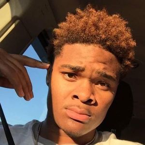 Meet your Posher, Theodore