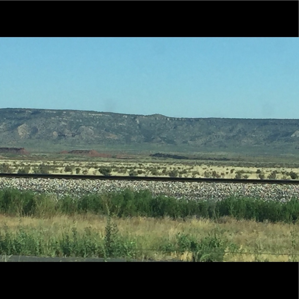 Meet your Posher, Robyn