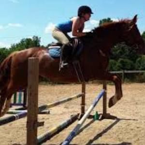 Meet your Posher, Irma