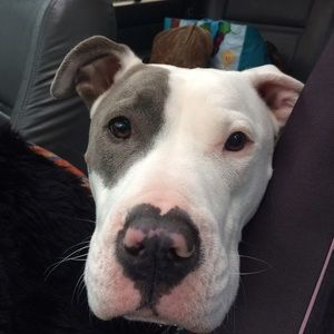 Meet your Posher, Debra