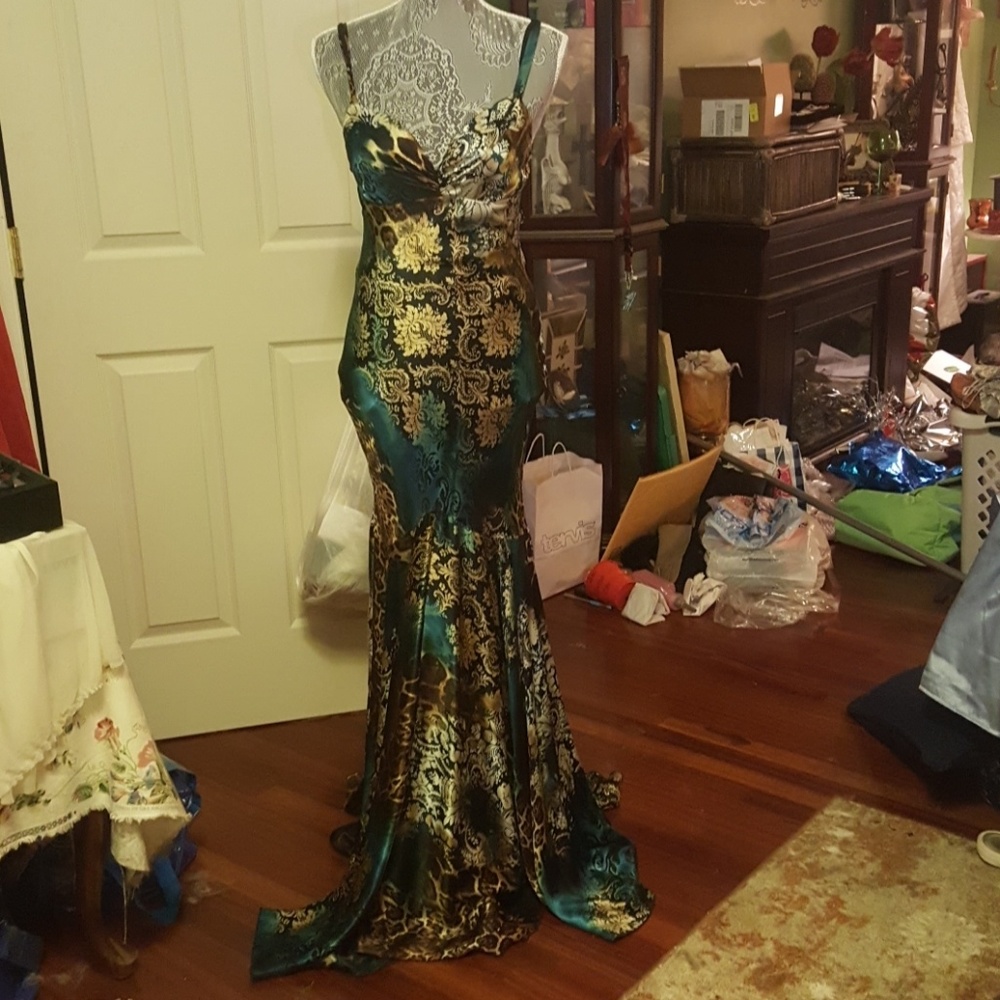 Absolutely stunning evening dress