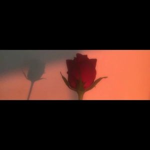 Meet your Posher, Valerie