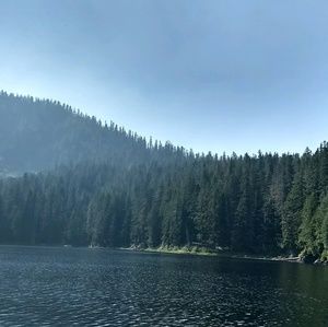 Meet your Posher, Abbie