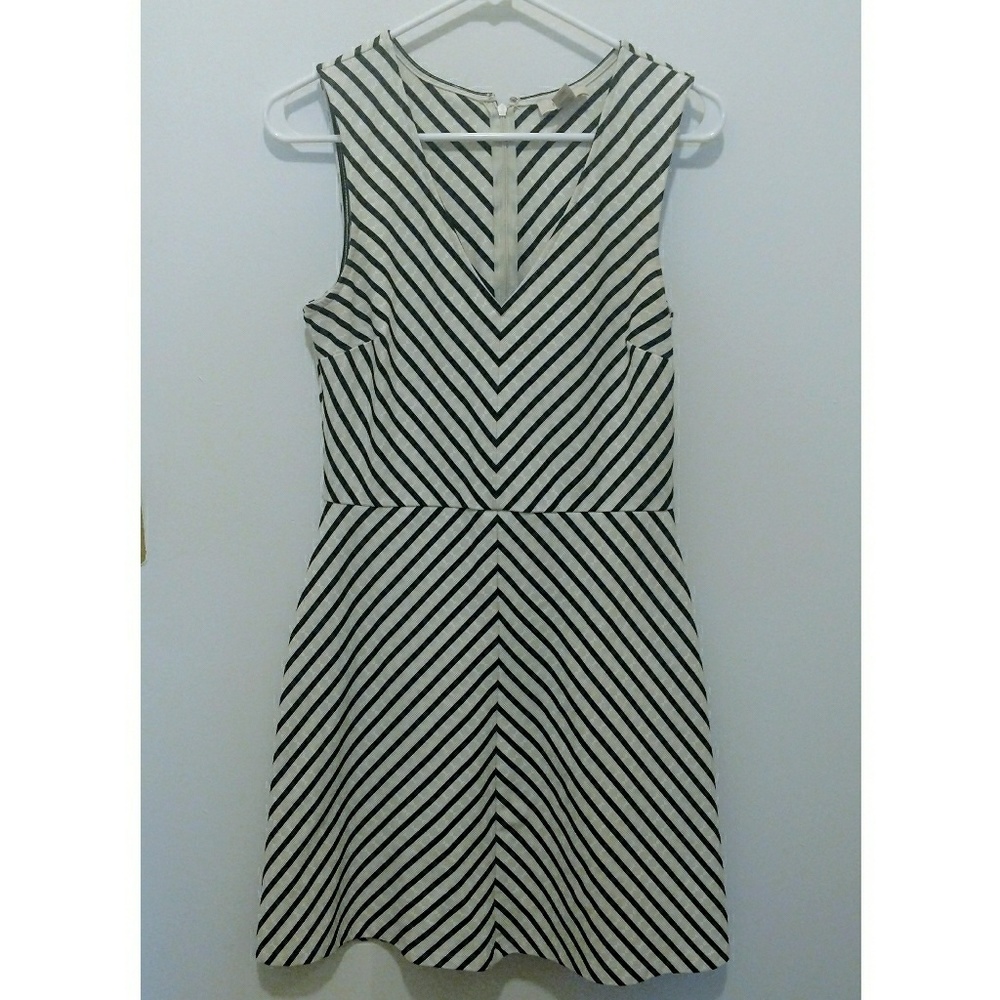 Ann Taylor Fit and Flare Dress