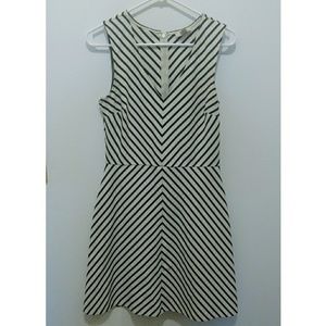 Ann Taylor Fit and Flare Dress