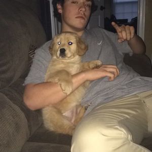 Meet your Posher, Anthony