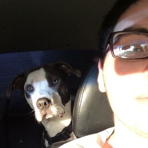 Meet your Posher, Nick