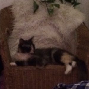 Meet your Posher, Lee