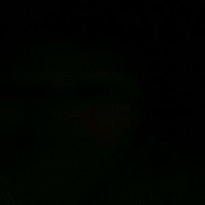 Meet your Posher, Betsy