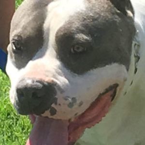 Meet your Posher, Edward