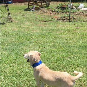 Meet your Posher, Jared