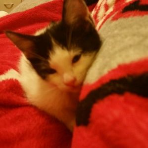 Meet your Posher, Judith