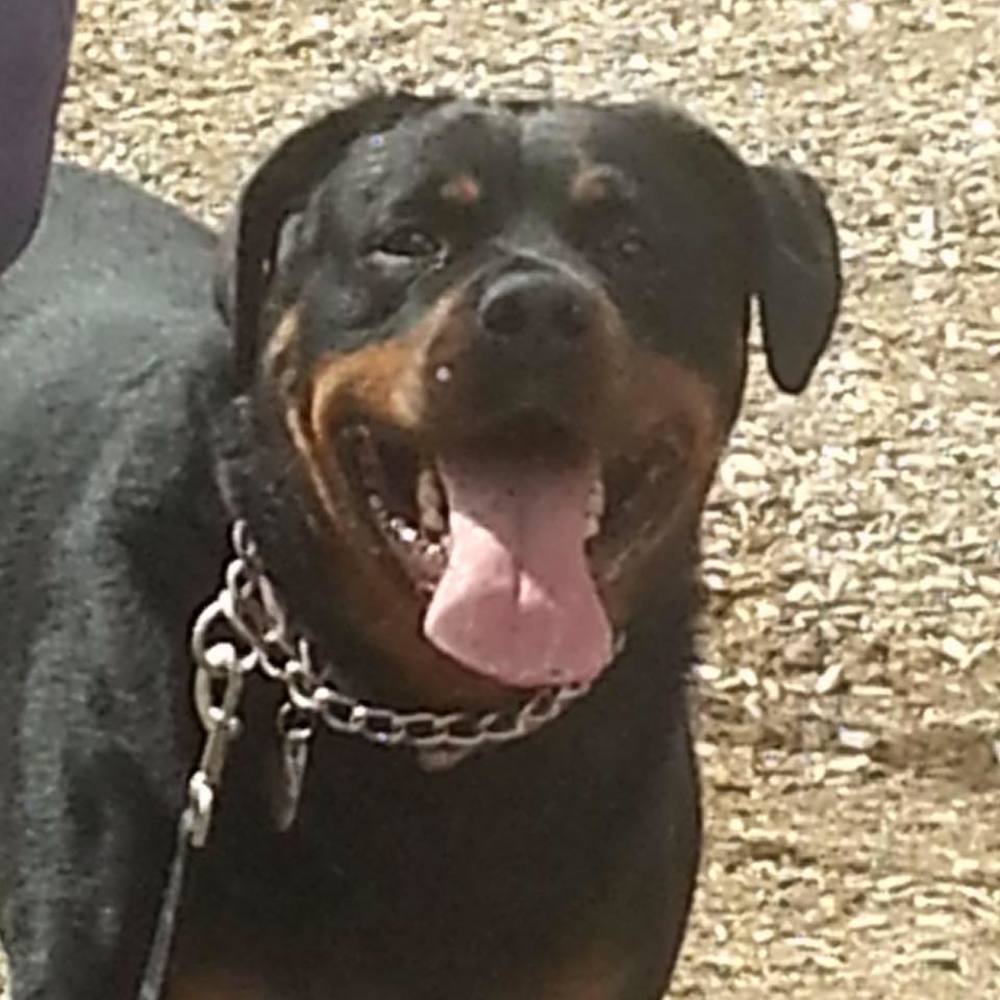 Meet your Posher, Jen