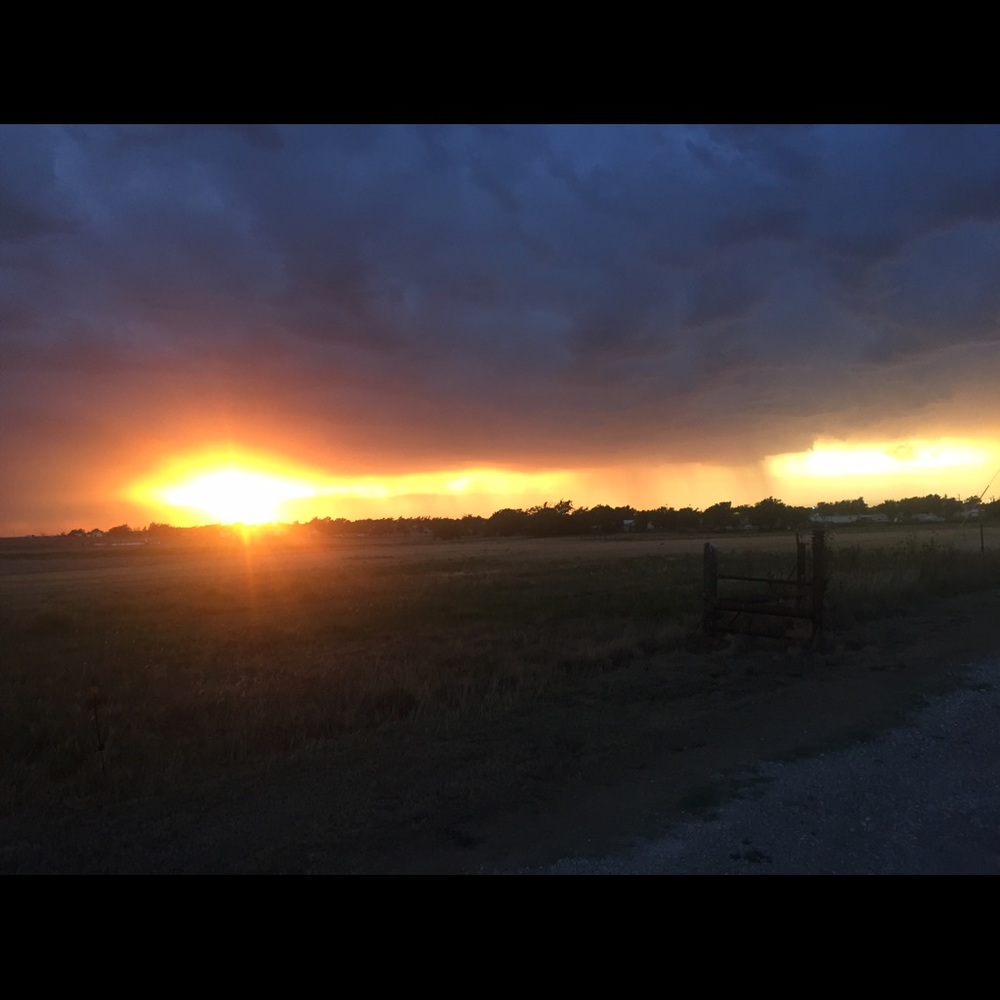 Meet your Posher, Brandi