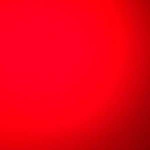 Meet your Posher, Lola