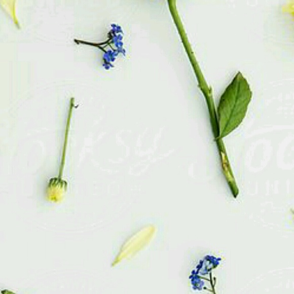 Meet your Posher, Abril - Picture 1 of 1