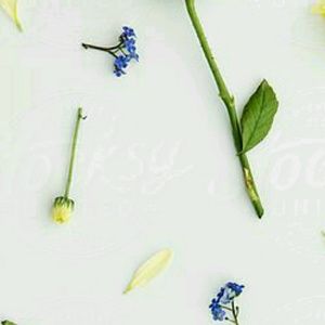 Meet your Posher, Abril