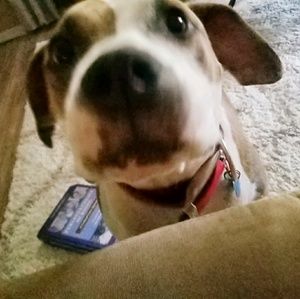 Meet your Posher, Lisa