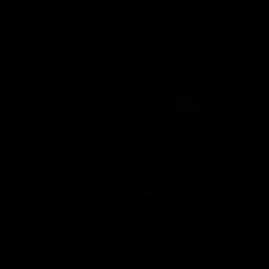 Meet your Posher, Janie