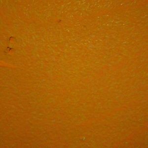 Meet your Posher, Cory