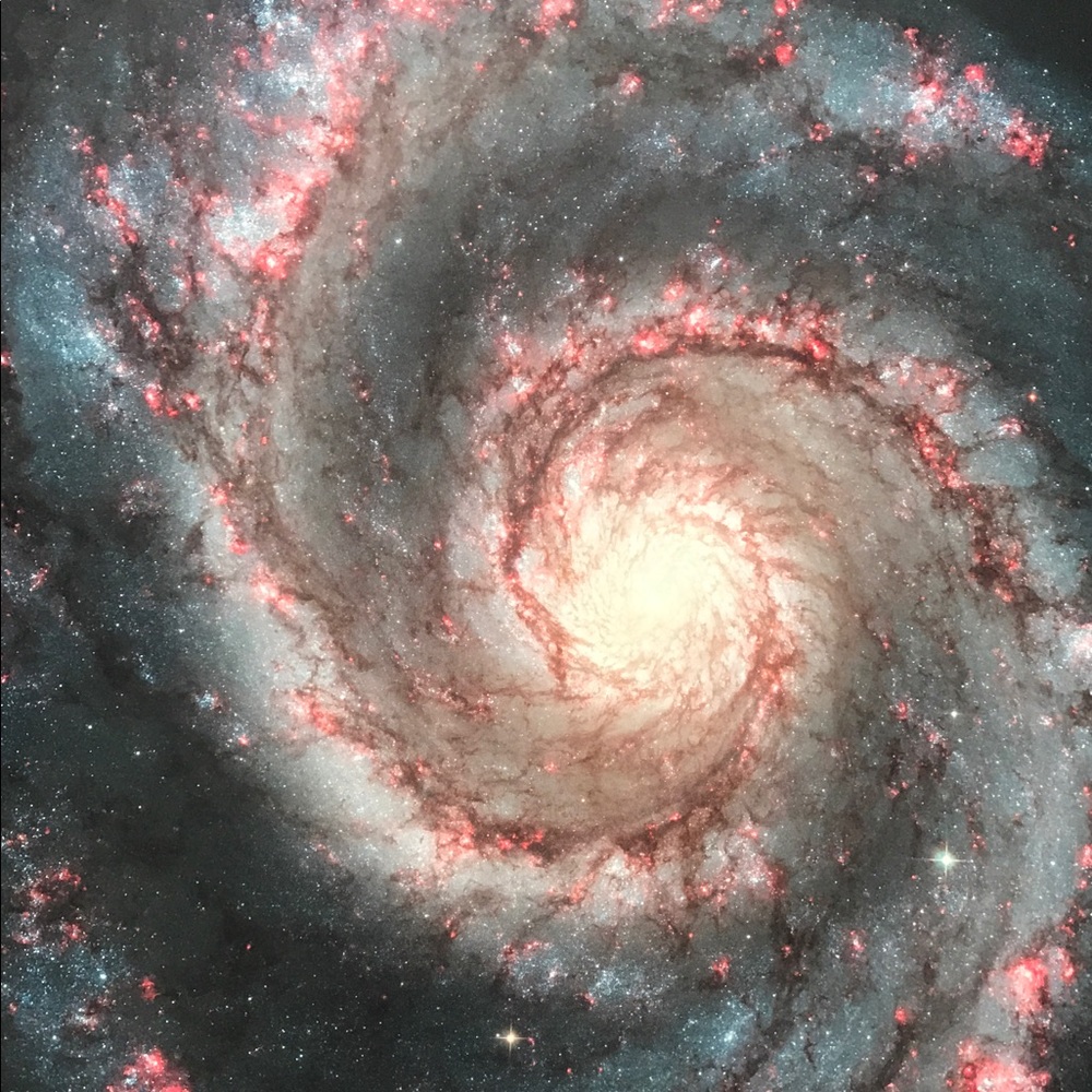 Meet your Posher, Michelle