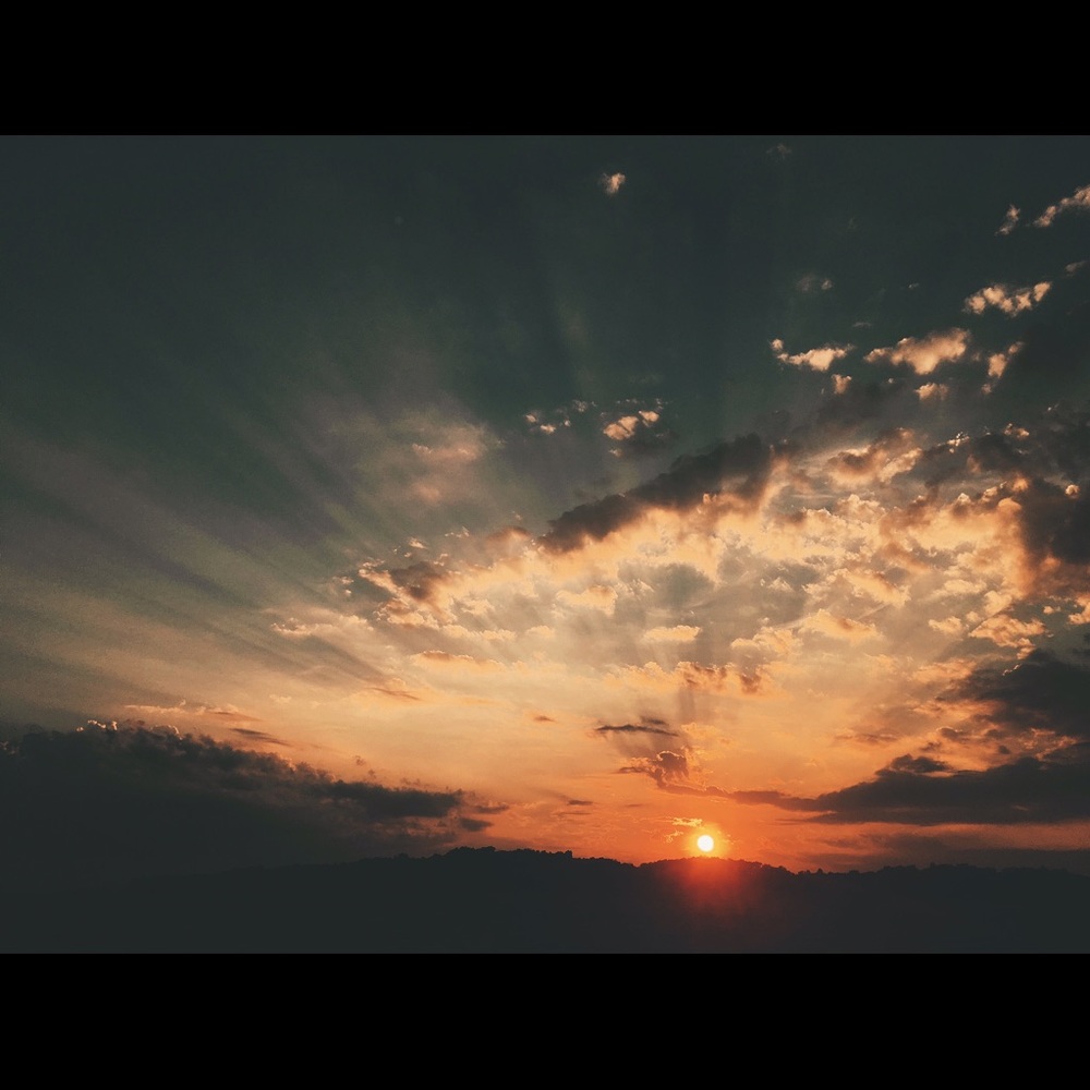 Meet your Posher, Naomi