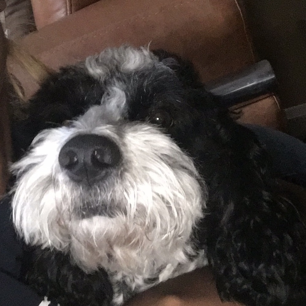 Meet your Posher, Lakiya