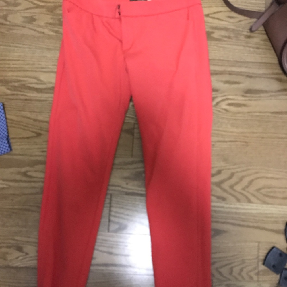 Dress pants